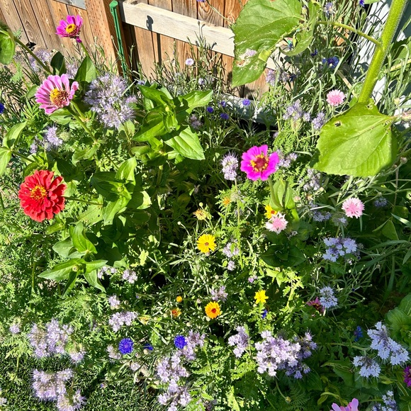 Meet your Posher, Korine - Picture 6 of 6